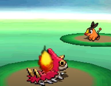 two pokemon battleing each other