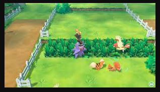 LETSGO-PIKACHU-FIELD-VIEW with different pokemon
